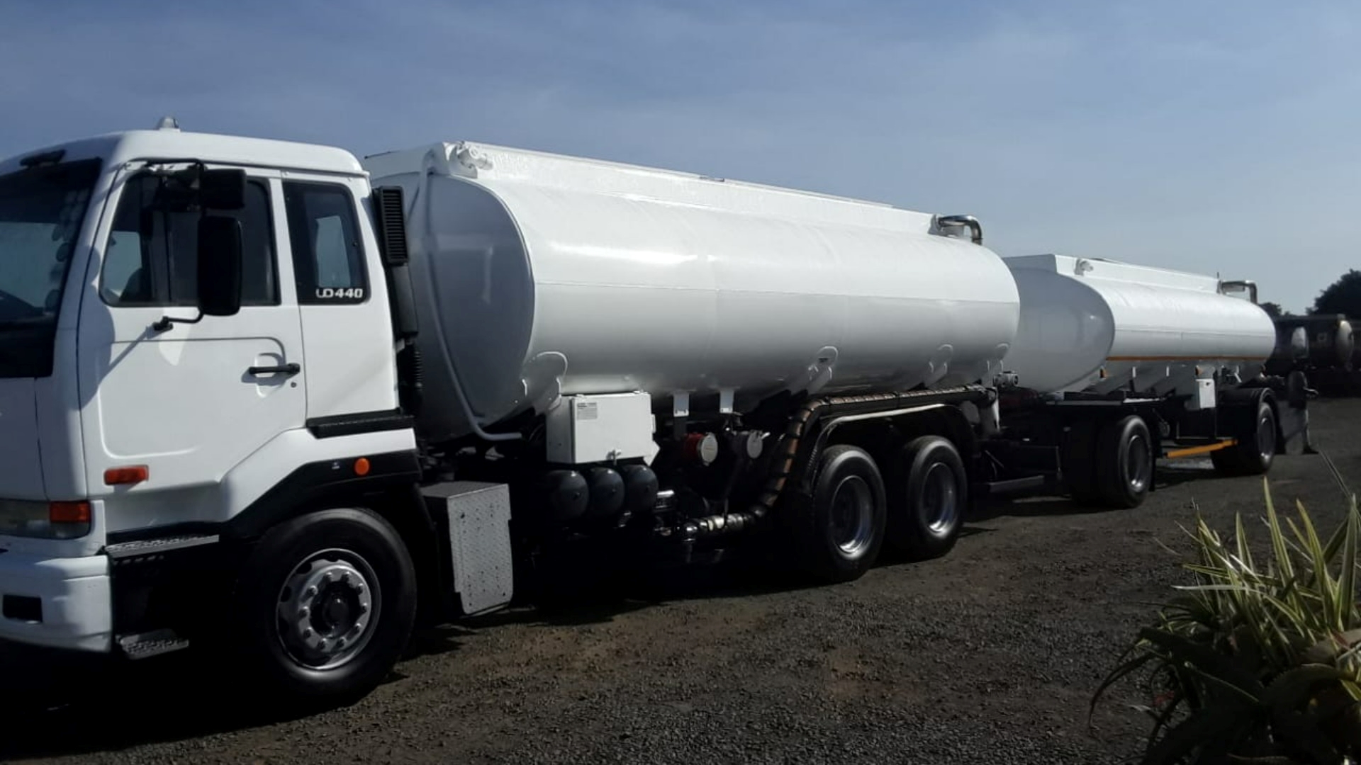 -id-79847030-type-or